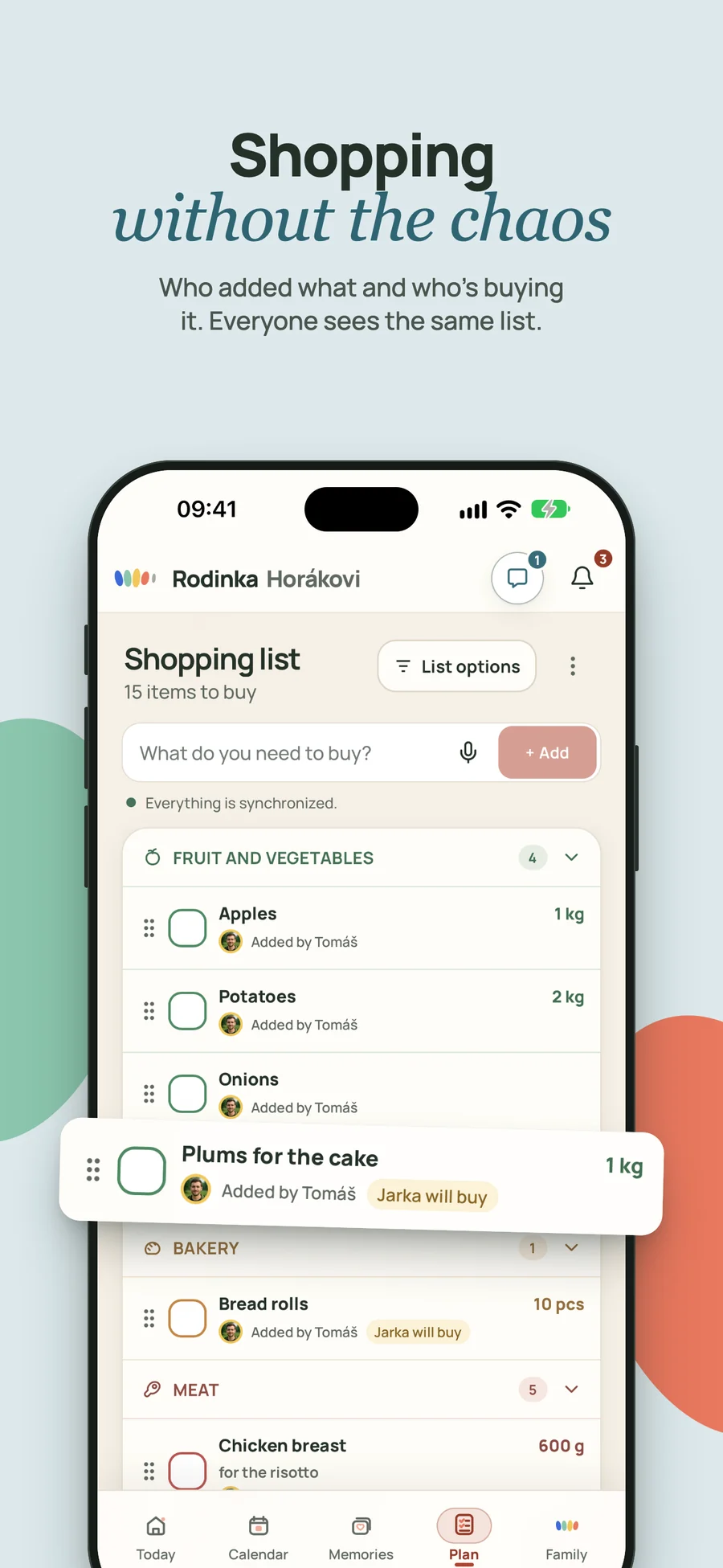 Rodinka shared shopping list with items grouped by category, quantities, who added them and who will buy them